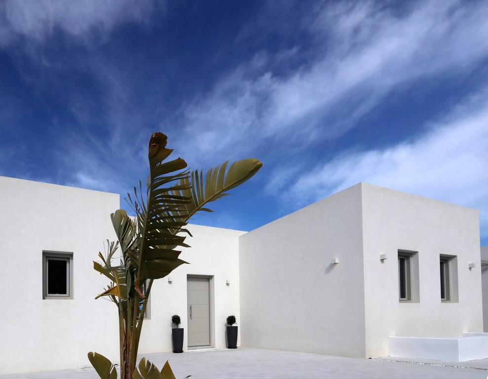 angels pearl photo 2