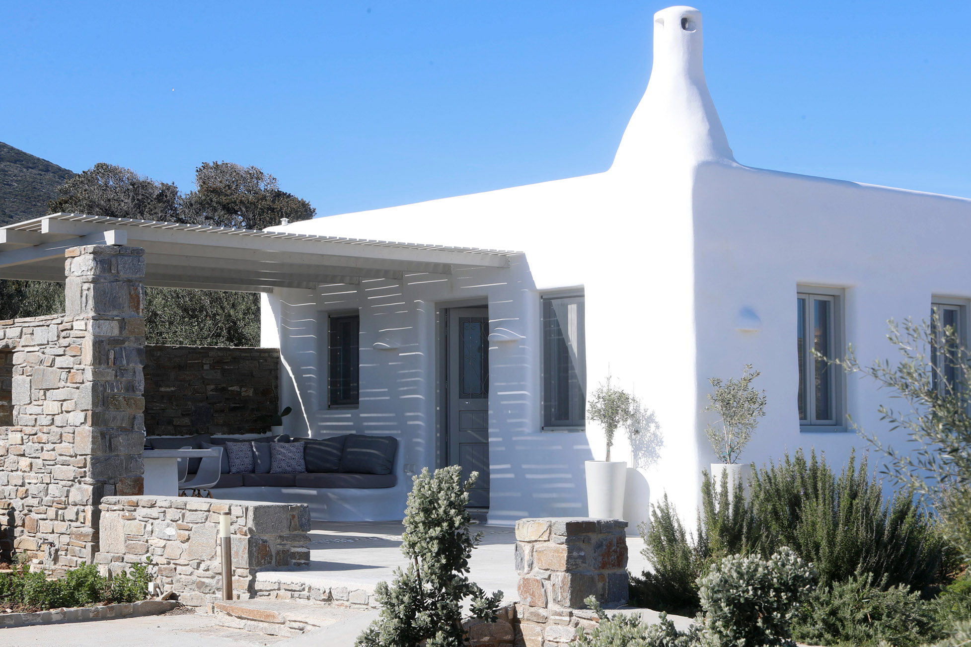 angels dream photo 2