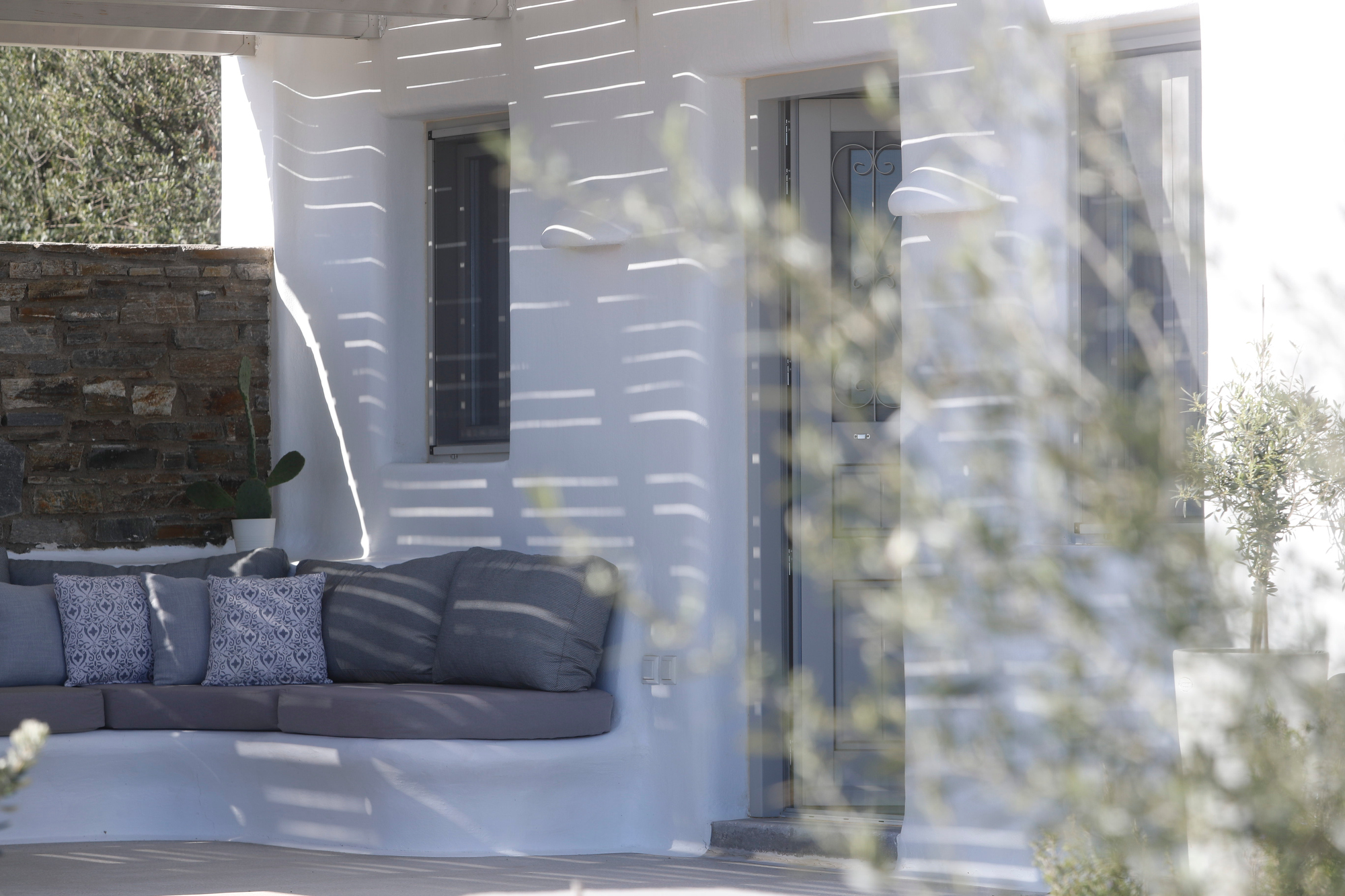 angels dream photo 3